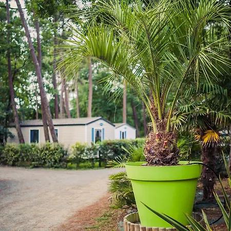 Camping Club L'oree Du Bois Campingplatz Les Mathes